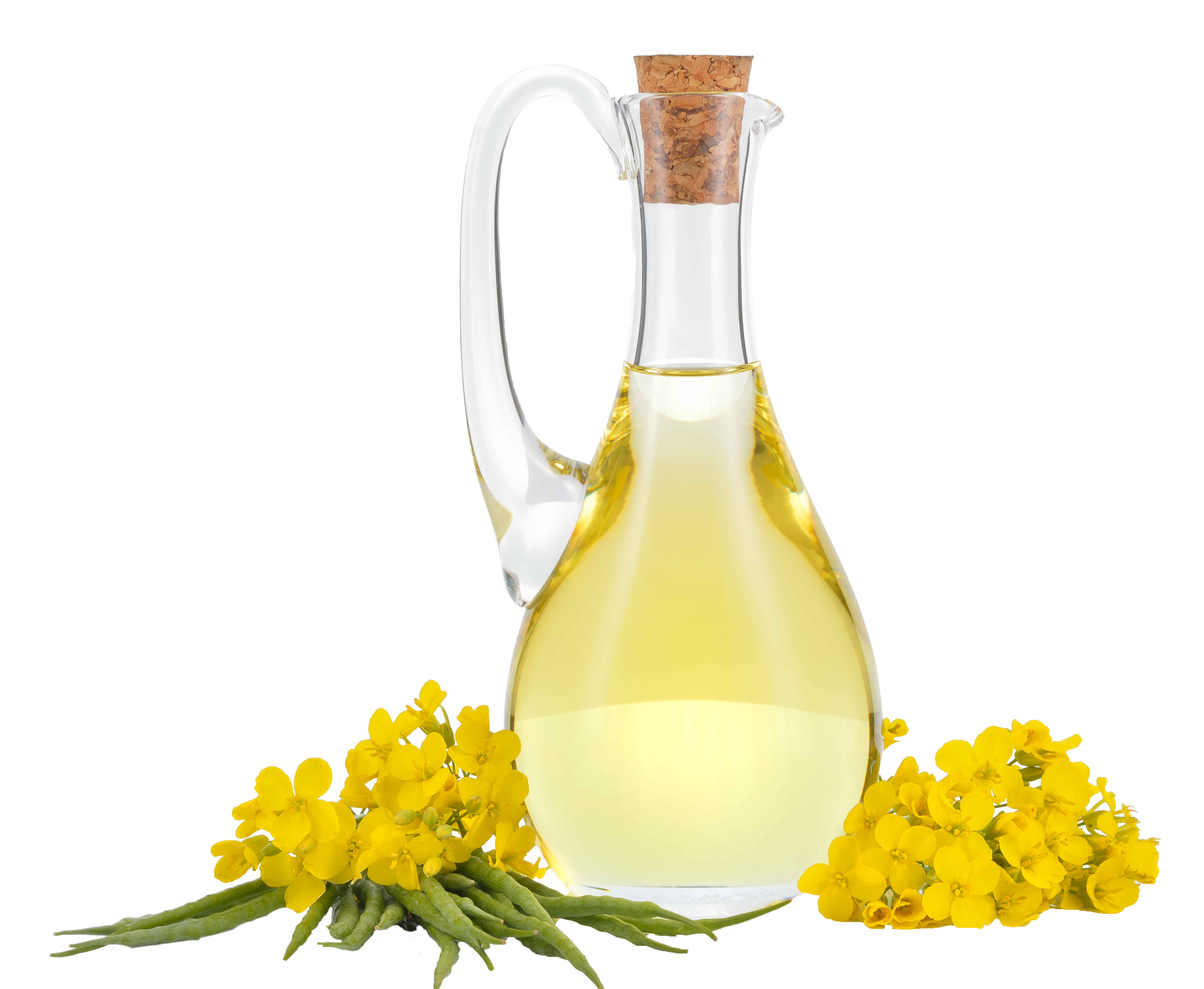 RBD CANOLA OIL