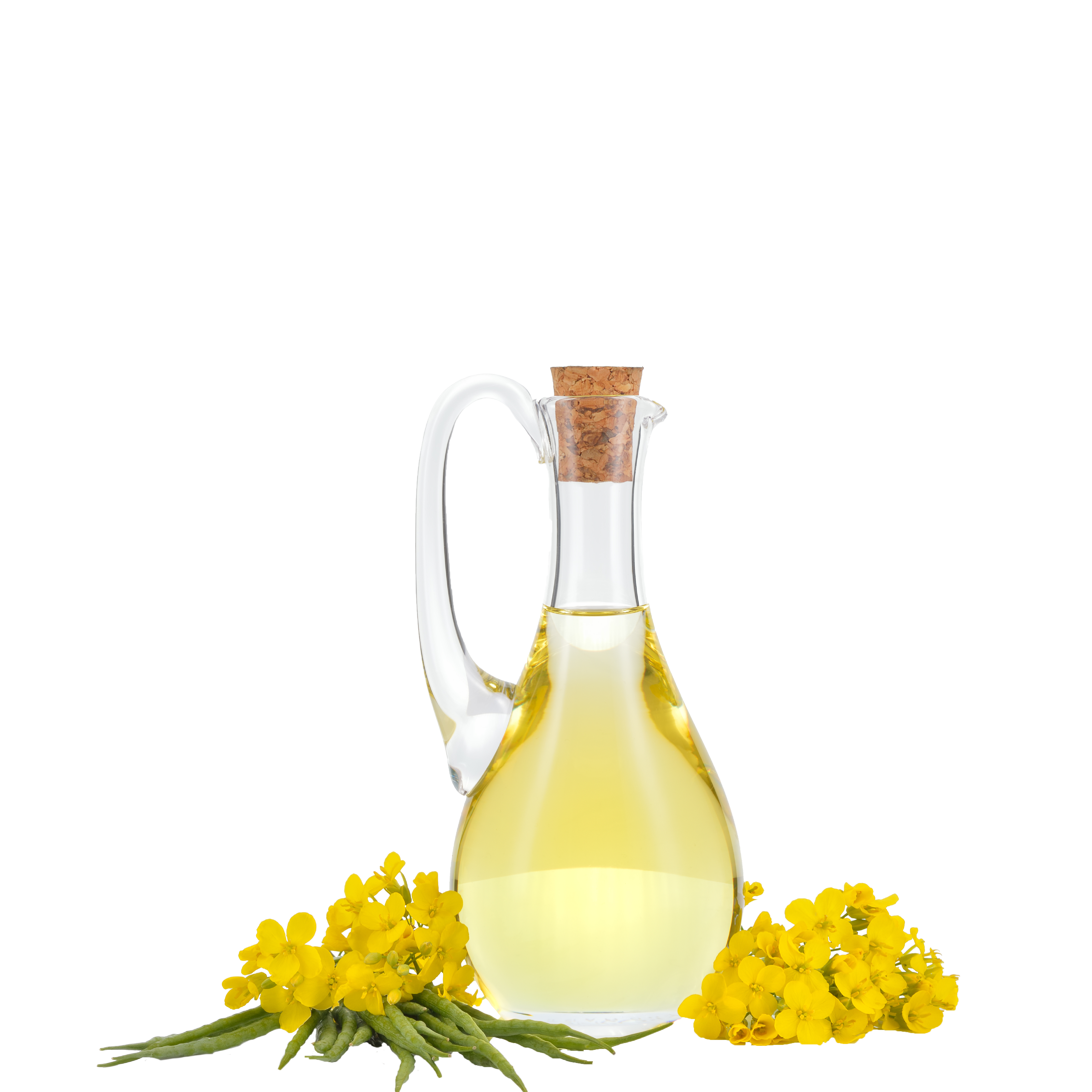 DẦU HẠT CẢI TINH LUYỆN