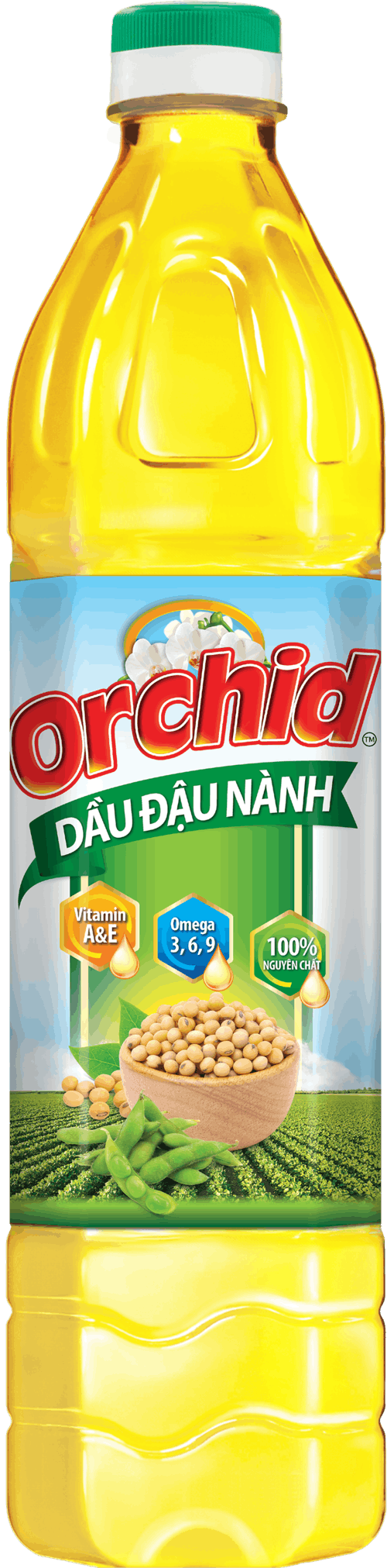 DẦU ĐẬU NÀNHORCHID